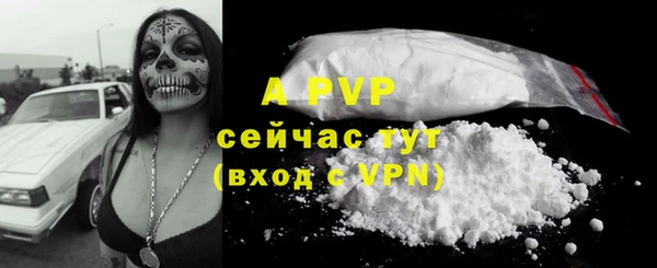 винт Верея