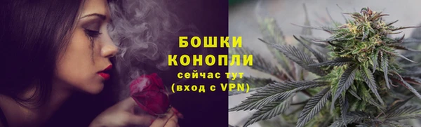 винт Верея
