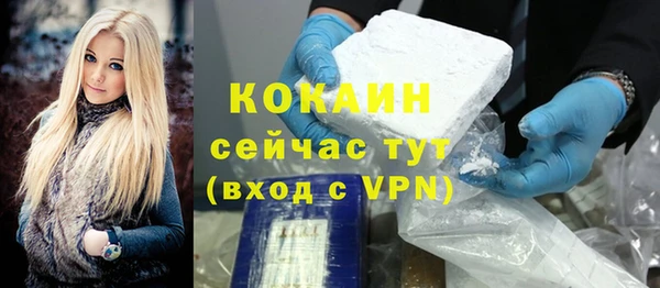 винт Верея