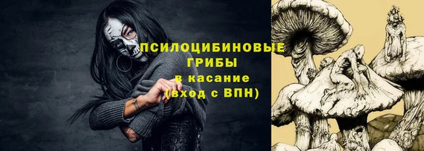 винт Верея