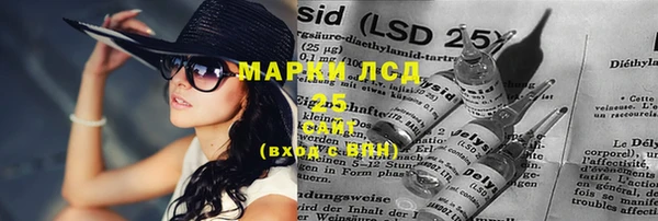 винт Верея